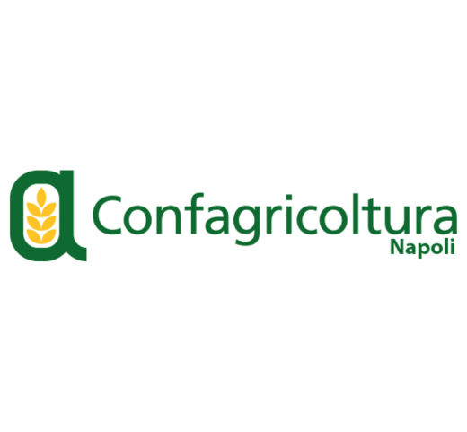 Sponsor